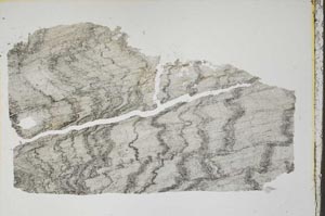 Plane Polarized, S38523