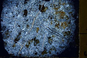 Cross Polarized, S38527