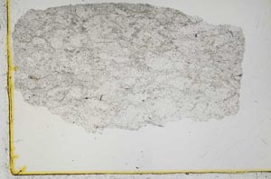 Plane Polarized, S38533