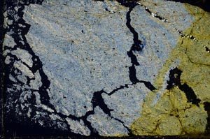 Cross Polarized, S38534