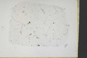 Plane Polarized, S38536