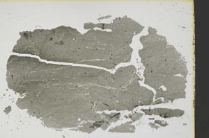 Plane Polarized, S38537