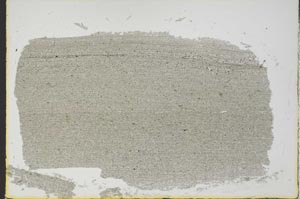 Plane Polarized, S38540