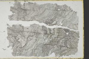 Plane Polarized, S38541