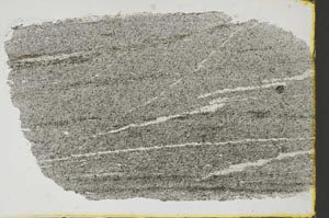 Plane Polarized, S38543