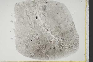 Plane Polarized, S38561