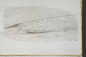 Plane Polarized, S38563