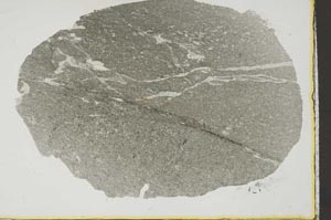 Plane Polarized, S38568