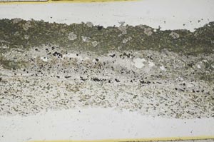 Plane Polarized, S38595