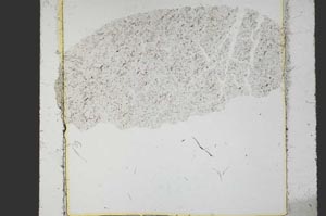 Plane Polarized, S38598