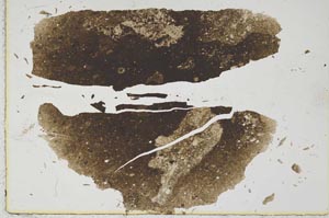 Plane Polarized, S38619