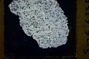 Cross Polarized, S38620