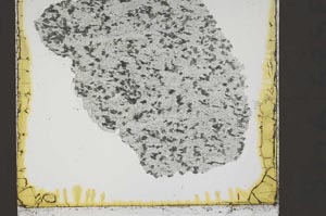 Plane Polarized, S38620