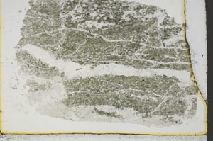 Plane Polarized, S38622
