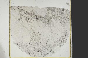 Plane Polarized, S38761