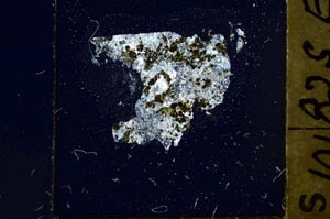Cross Polarized, S38762