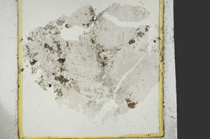 Plane Polarized, S38763