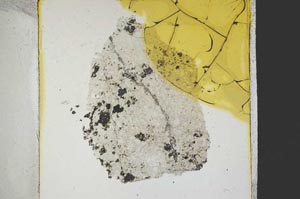 Plane Polarized, S38764