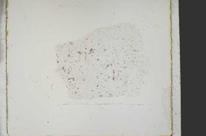 Plane Polarized, S38871