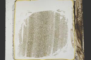 Plane Polarized, S38886