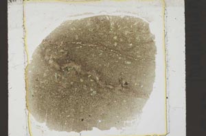 Plane Polarized, S38897