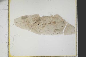 Plane Polarized, S38939