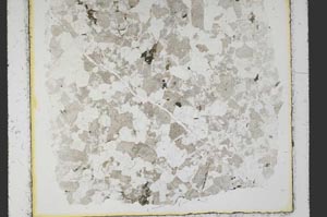 Plane Polarized, S38940