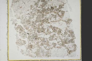 Plane Polarized, S38942