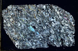 Cross Polarized, S38961