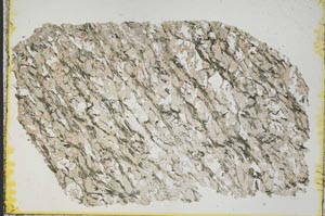 Plane Polarized, S38961