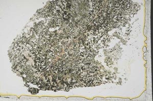Plane Polarized, S38972