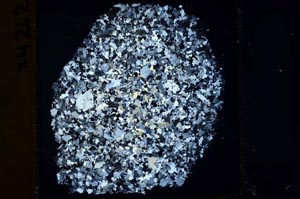 Cross Polarized, S38975