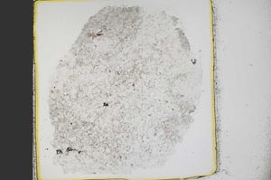 Plane Polarized, S38975