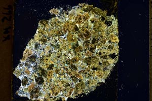 Cross Polarized, S38977