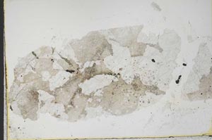 Plane Polarized, S38978/A