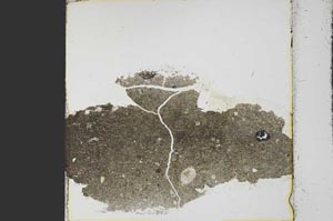 Plane Polarized, S38997