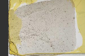 Plane Polarized, S39060