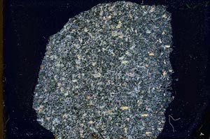 Cross Polarized, S39061