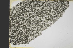 Plane Polarized, S39123