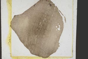 Plane Polarized, S39149