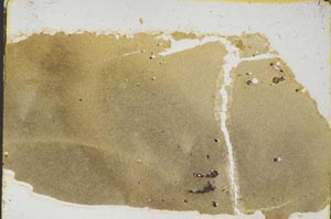 Plane Polarized, S39157