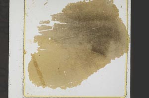 Plane Polarized, S39162