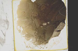 Plane Polarized, S39163
