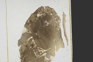 Plane Polarized, S39164
