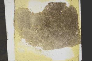 Plane Polarized, S39167