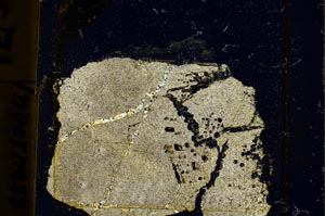 Cross Polarized, S39168