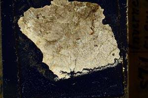 Cross Polarized, S39170