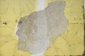 Plane Polarized, S39175