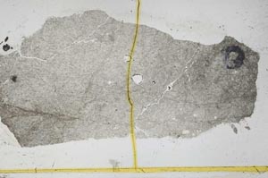 Plane Polarized, S39177
