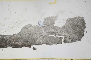 Plane Polarized, S39179